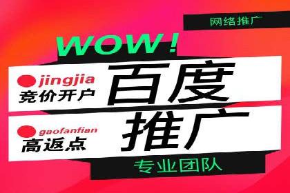 SEM托管服务案例：精准定位，高效转化
